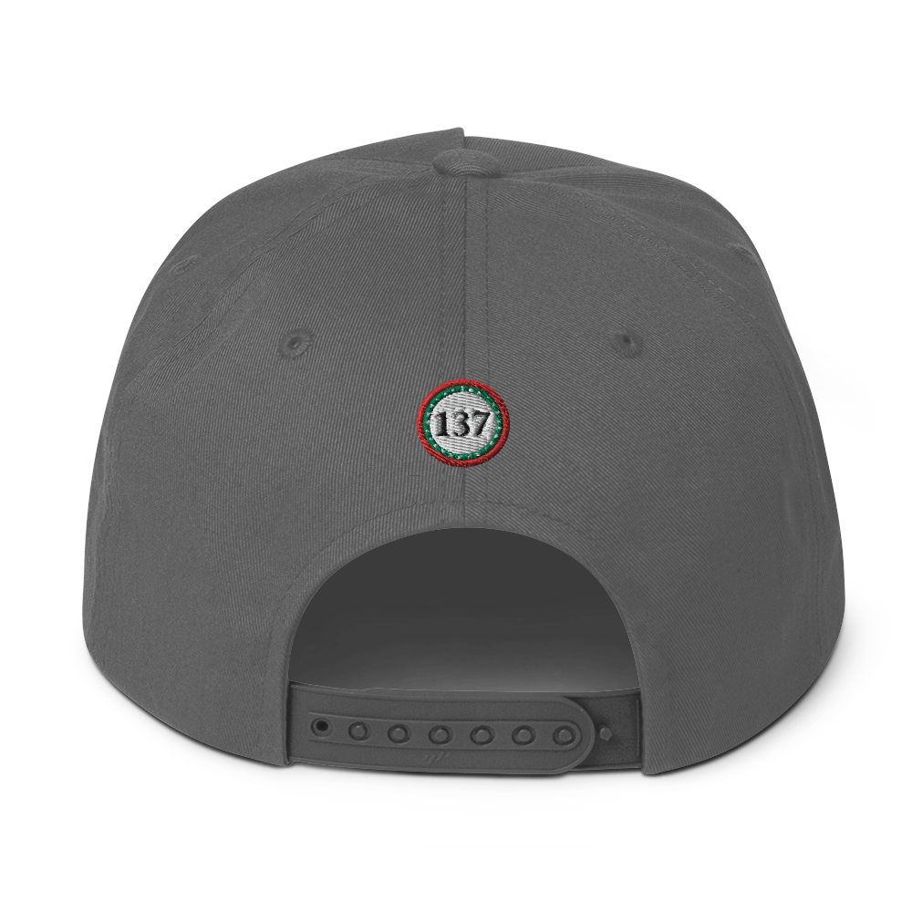 Flat-Bill-Cap-Gry-137-Consciousness-2-137online.com