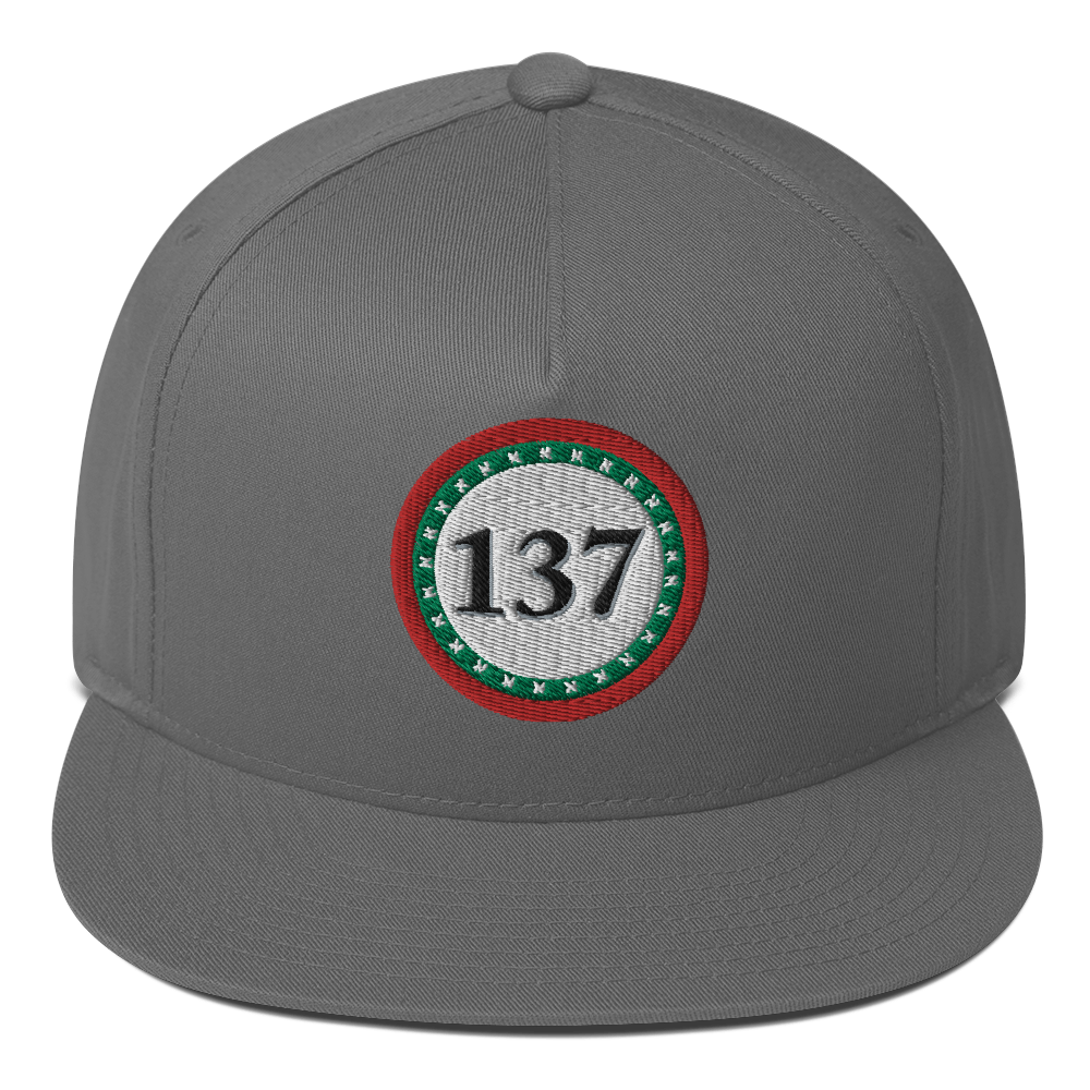 Flat-Bill-Cap-Gry-137-Consciousness-1-137online.com
