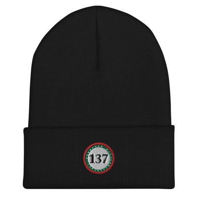 Winter Beanie Cuffed 12"-Blk-137-Consiousness-1-137online.com