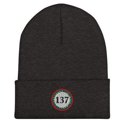 Winter Beanie Cuffed 12"-Chr-137-Consciousness-1-137online.com