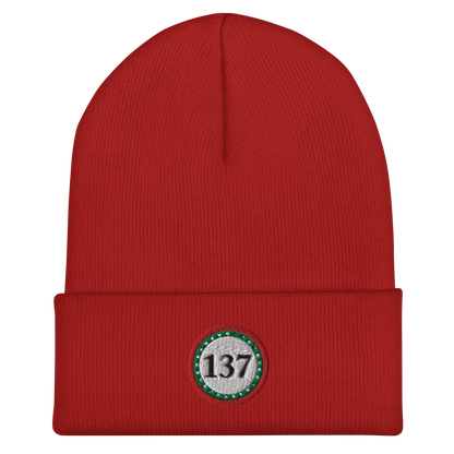 Winter Beanie Cuffed 12"-Red-137-Consciousness-1-137online.com