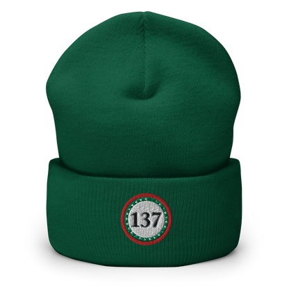 Winter Beanie Cuffed 12"-Grn-137-Consciousness-7-137online.com