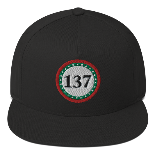 Flat-Bill-Cap-Blk-137-Consciousness-1-137online.com