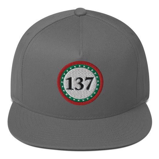 Flat-Bill-Cap-Gry-137-Consciousness-1-137online.com