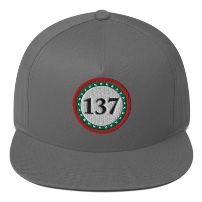 Flat-Bill-Cap-Gry-137-Consciousness-1-137online.com