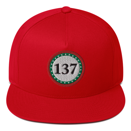 Flat-Bill-Cap-Red-137-Consciousness-1-137online.com