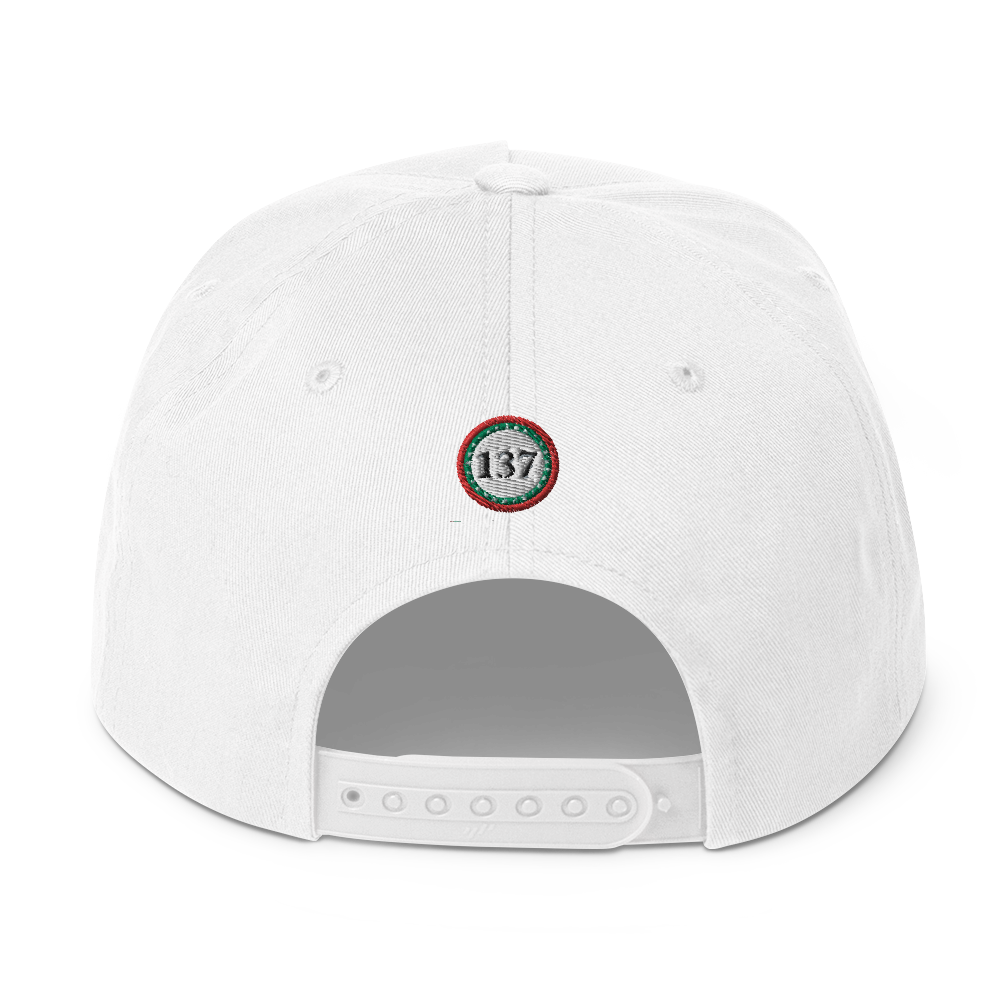 Flat-Bill-Cap-Wht-137-Consciousness-2-137online.com