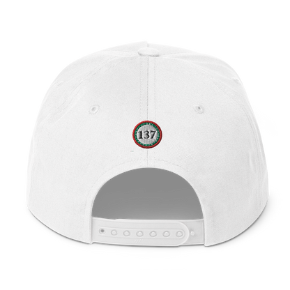 Flat-Bill-Cap-Wht-137-Consciousness-2-137online.com