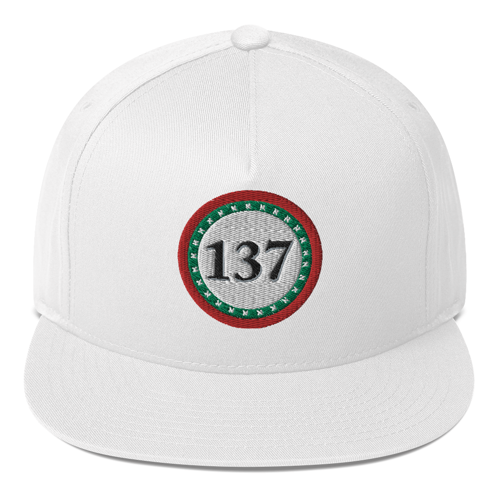 Flat-Bill-Cap-Wht-137-Consciousness-1-137online.com