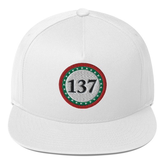 Flat-Bill-Cap-Wht-137-Consciousness-1-137online.com