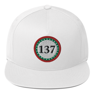 Flat-Bill-Cap-Wht-137-Consciousness-1-137online.com