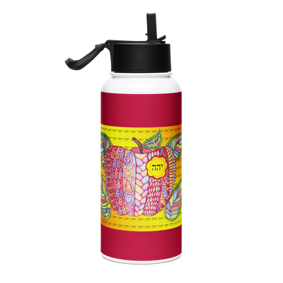 Insulated Stainless Steel Water Bottle-Mentor-01